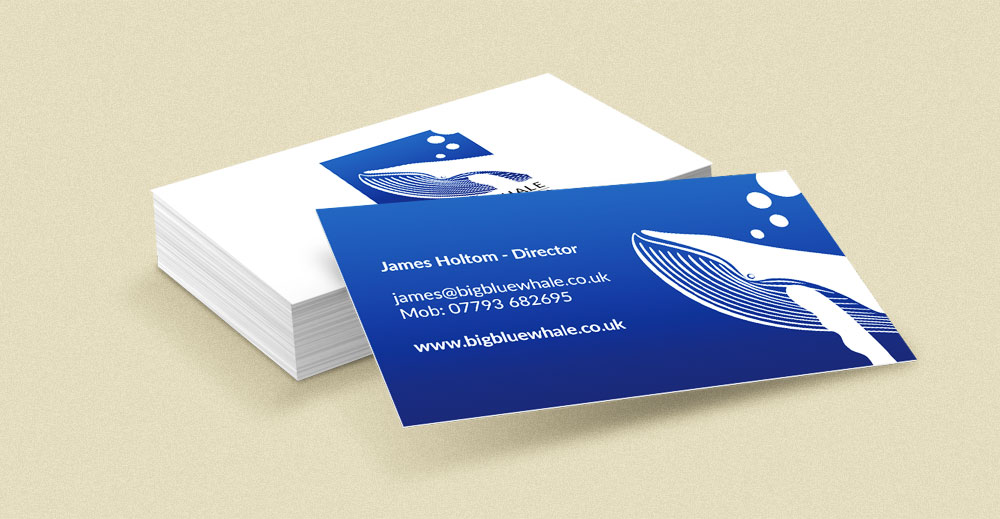 Big Blue Whale: web design, brand design and video production